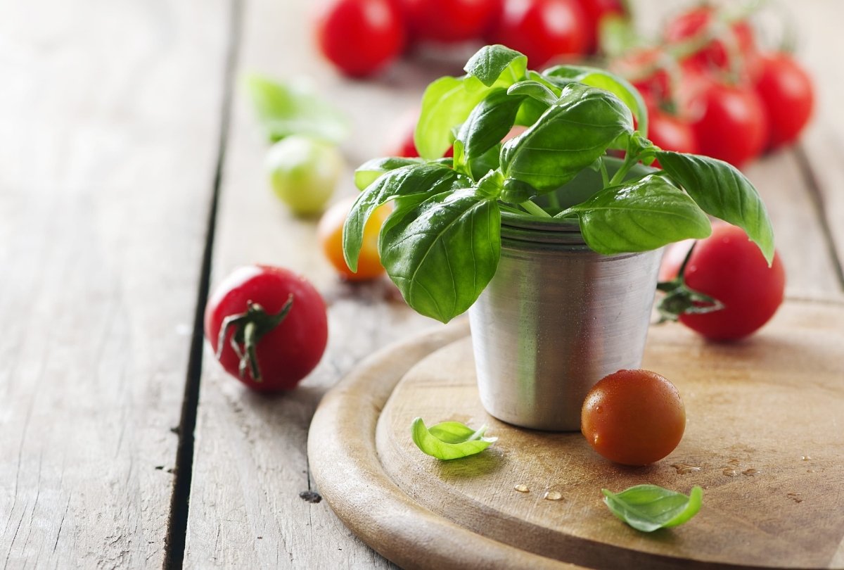 Waarom basilicum en tomaat essentiële smaken zijn in de Mediterrane keuken
