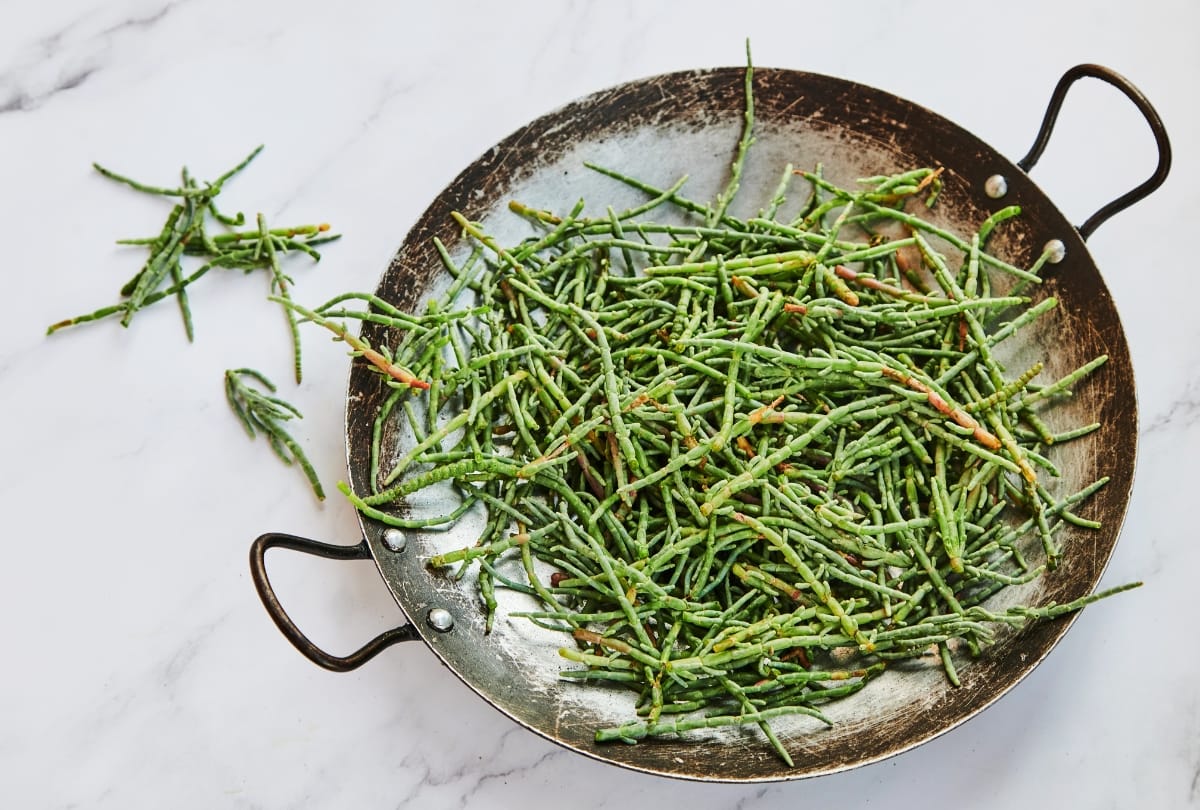 Waarom vinden we de ziltigheid van zeekraal lekker?