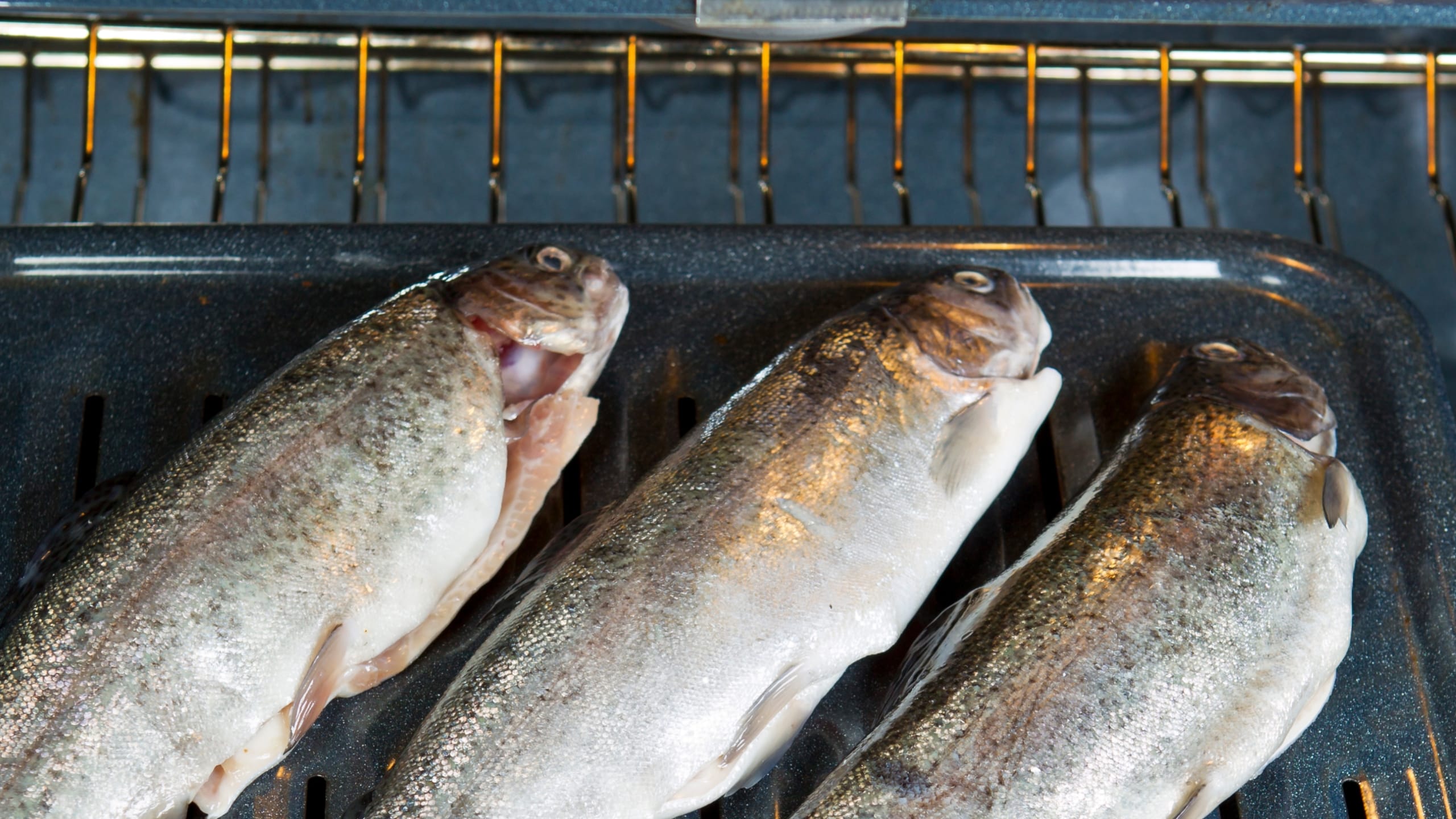 categorie-Magnetrons-ovens-accessoires