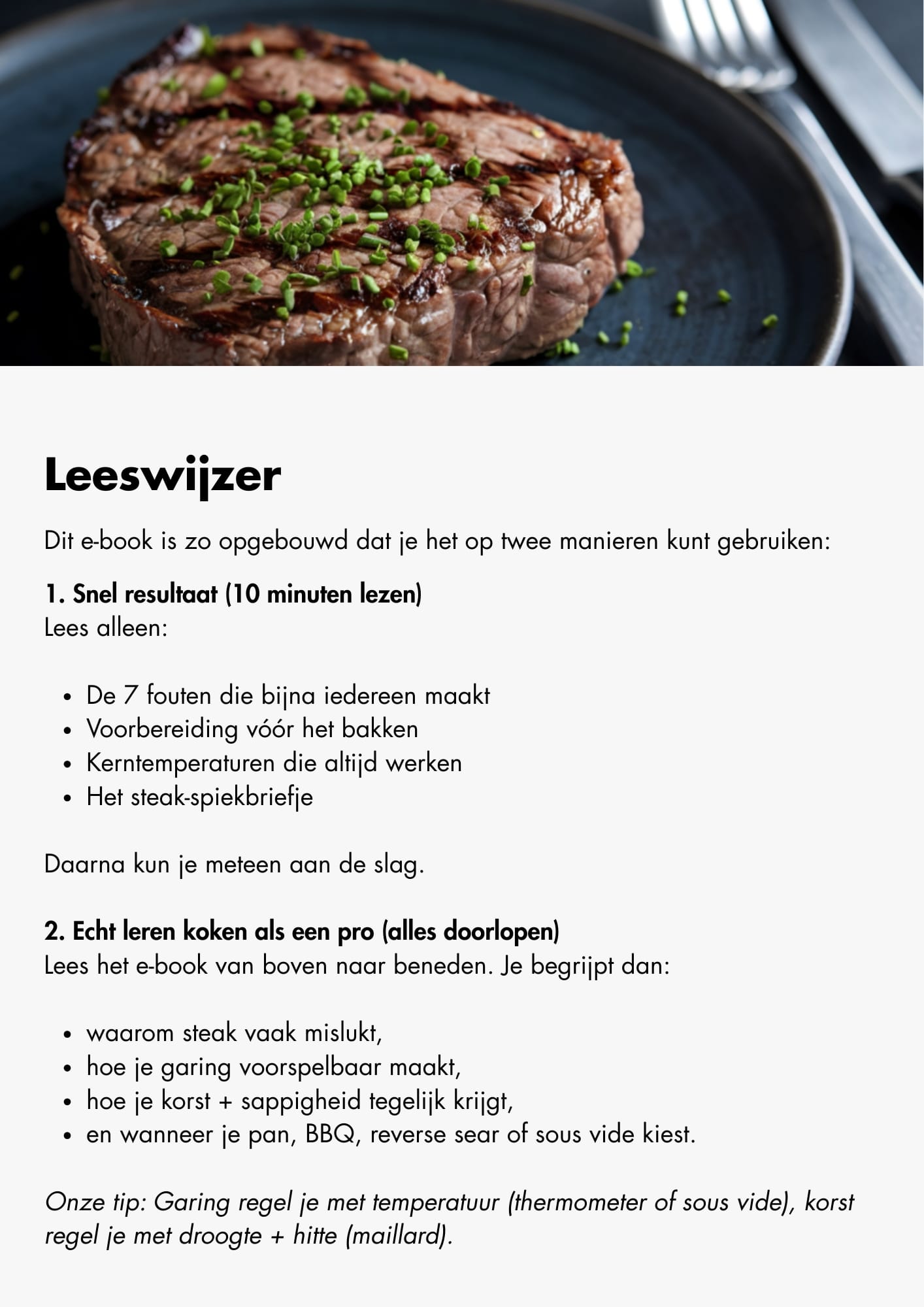 De perfecte steak