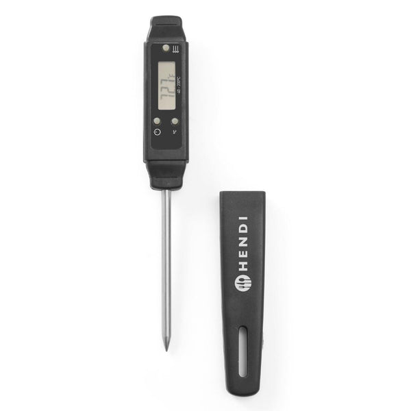Thermometer mit Sonde