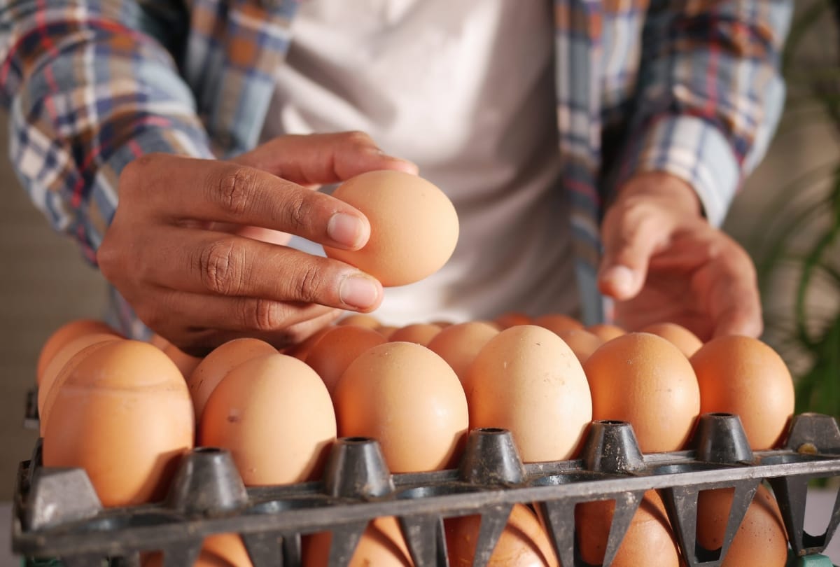 Dingen die je met eieren kunt doen in de keuken