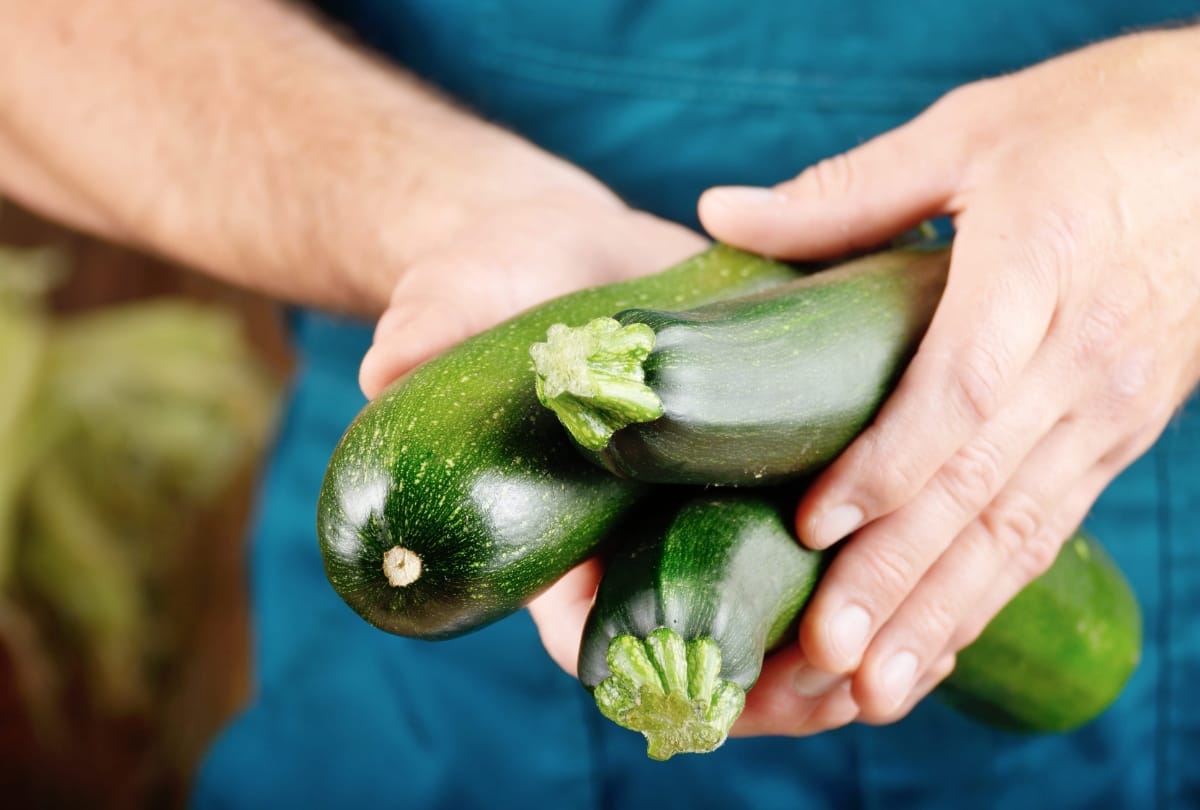 Kun je courgette invriezen?