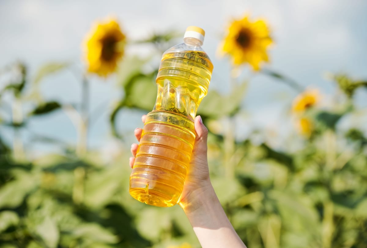 Kun je frituren in zonnebloemolie?