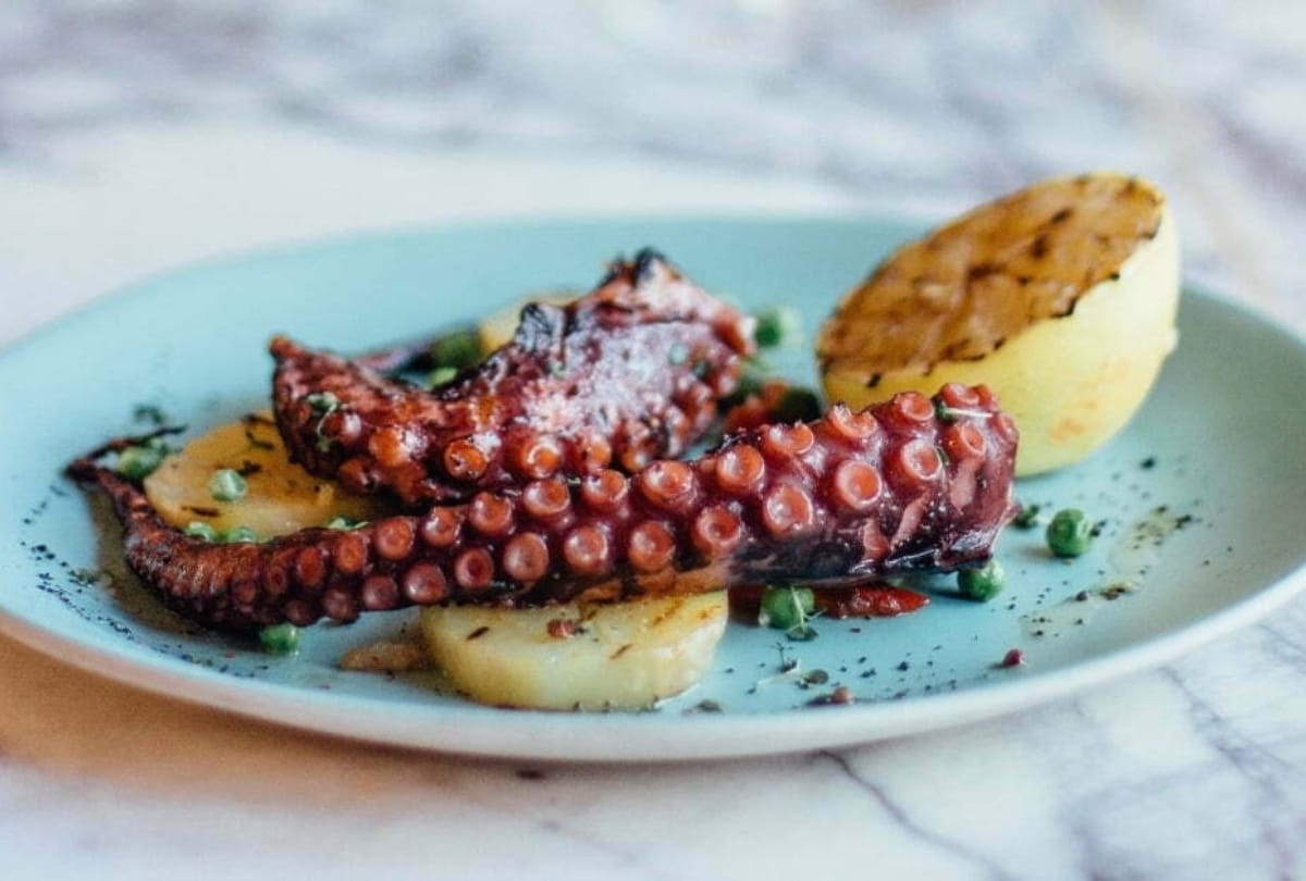 sous-vide-octopus