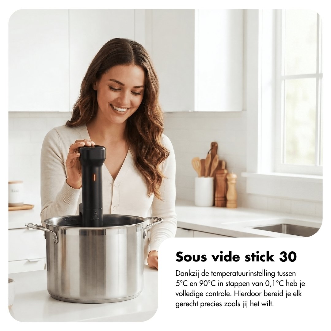Sous vide stick 30